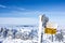 snow-covered signpost at the top of the snowy mountain. winter sport achievement concept