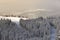 The snow-covered slopes of the Carpathians mountains covered with coniferous forests and skiers, skating on a frosty sunny winter