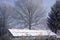 Snow covered solar panels shrouded in fog and a heavy hoarfrost.