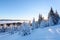 Snow covered spruce trees stand in snow swept mountain meadow under a blue sky. Marvelous winter sun high in the mountains.