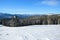 Snow covered spruce trees stand in snow swept mountain meadow under a blue sky. Marvelous winter sun high in the mountains.