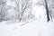 Snow-covered stairs in the park. winter landscape . Guiding lines.