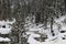 Snow covered stream in Sequoia National Park California