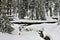 Snow covered stream in Sequoia National Park California