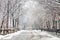 Snow covered street along Washington Square Park in New York City