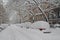 Snow covered street after snowstorm, New York City