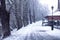 Snow-covered street in winter lanterns and trees.