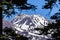 The snow covered summit of Shasta mountain framed by evergreen trees on a sunny summer day, California