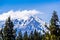 The snow covered summit of Shasta mountain framed by evergreen trees on a sunny summer day, northern California