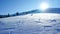snow-covered and sun-drenched meadow with clear snow with rare traces and a dog lying on the snow