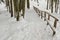 Snow-covered tourist stairs woods