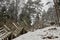 Snow-covered tourist stairs woods