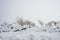 snow covered tourist trails in slovakia tatra mountains