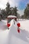 Snow covered tractor