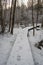 Snow-Covered Tranquility: Wooden Pathways Amidst Pokainu Mezs\\\' Wintry Woods