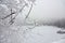 Snow covered tree branches and frozen lake Mummelsee in Black Forest, Germany