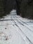 Snow covered tree lined country road