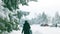 Snow covered tree in winter nature scene. Winter snow tree view. Winter snow scene. Many blurry silhouettes of backs of
