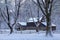 Snow Covered Trees and Barn