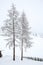 Snow covered trees in countryside