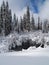 Snow Covered Trees, Creek and pond