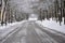 Snow covered trees and leaves in Bad Fussing, Germany.Road in the mountains covered with snow.