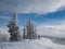 Snow covered trees near Monarch Pass, Colorado