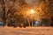 Snow-covered trees, park bench, wooden garbage bin, light post, low angle