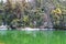 Snow Covered Trees with Reflection in Clean Water of Deoria or Deoriya Tal Lake - Winter Landscape in Himalaya, Uttarakhand, India