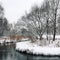 Snow covered trees on the riverbank. Winter.