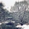 Snow covered trees on the riverbank. Winter.