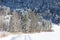 Snow covered trees and road, Alps