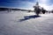 Snow-covered trees shave long shadows over white snow