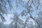 Snow Covered Trees, Silver Lake Wilderness Area, Adirondack Forest Preserve, New York, USAk Forest Preserve, New York