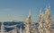 Snow Covered Trees at Sunrise with Mount St Helens