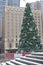 Snow covered Vancouver Christmas tree in front of historic Hotel Georgia