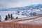 Snow covered vineyards, lake, and mountains