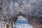 A snow covered walking trail in the woods in the Inglewood bird sanctuary