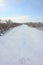 Snow-covered wild swamp with a lot of yellow reeds, covered with a layer of snow. Winter landscape in marshland