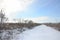 Snow-covered wild swamp with a lot of yellow reeds, covered with a layer of snow. Winter landscape in marshland