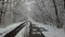 Snow-covered winter alley from bushes with a road