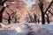 Snow-covered winter alley in the park, a path among trees covered with frost, cold season wallpaper, AI Generated