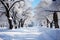 Snow-covered winter alley in the park, a path among trees covered with frost, cold season wallpaper, AI Generated