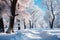 Snow-covered winter alley in the park, a path among trees covered with frost, cold season wallpaper, AI Generated