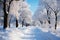 Snow-covered winter alley in the park, a path among trees covered with frost, cold season wallpaper, AI Generated