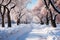 Snow-covered winter alley in the park, a path among trees covered with frost, cold season wallpaper, AI Generated