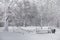 Snow-covered winter park and benches. Park and pier for feeding