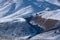 Snow-covered winter pasture in the mountains in winter