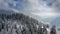 Snow covered winter trees in the foreground frame a perfect winter scene as a snowy alpine mountain tops