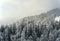 Snow covered winter trees in the foreground frame a perfect winter scene as a snowy alpine mountain tops peak